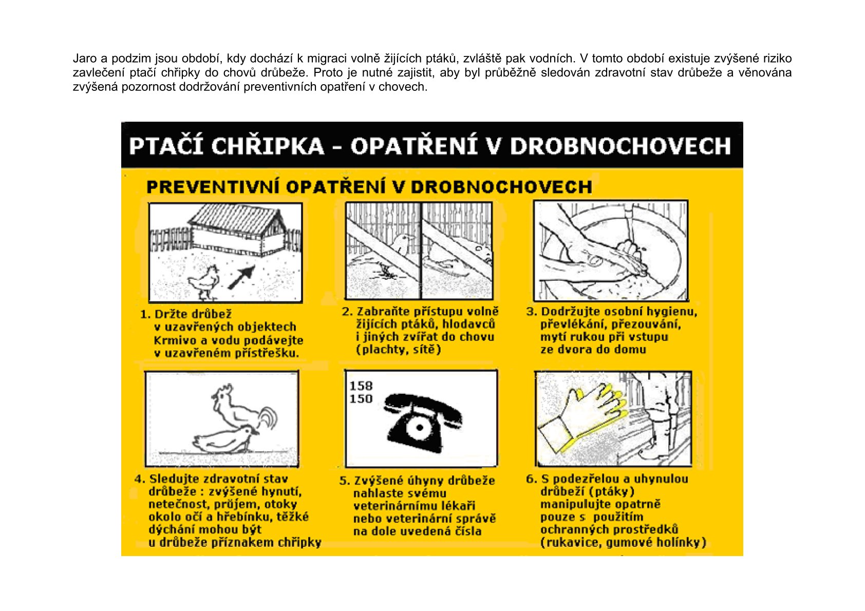 PT preventivni opatreni v drobnochovech